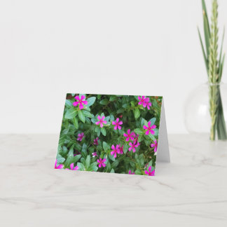 Blume Mitteilungskarten