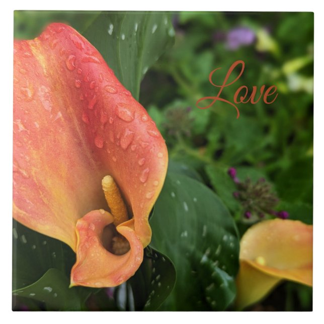 Blume morgens fliese (Vorderseite)