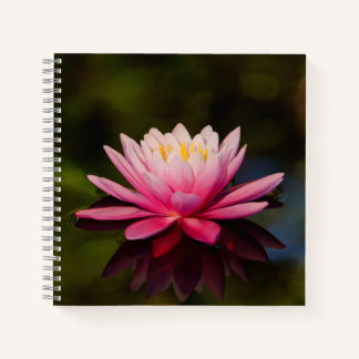 Blume morgens notizbuch