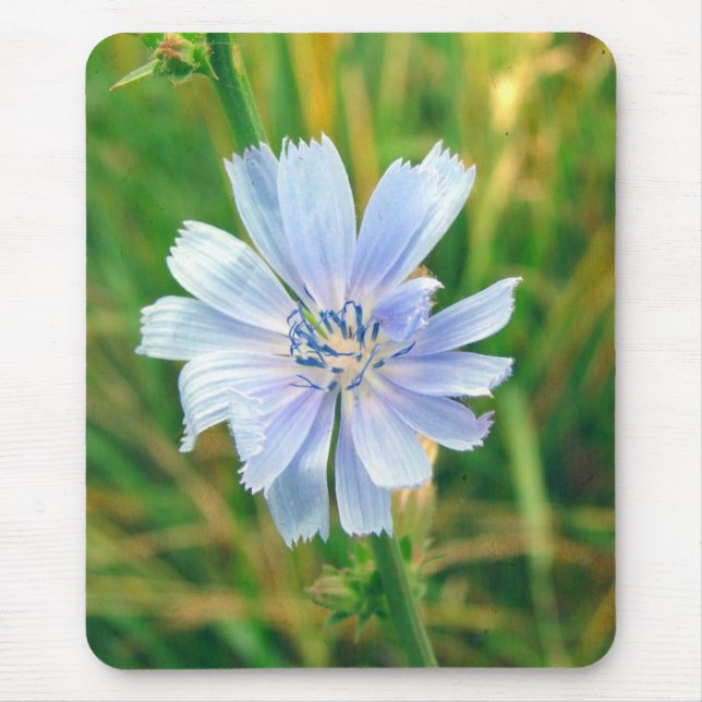 Blume Mousepad (Vorne)