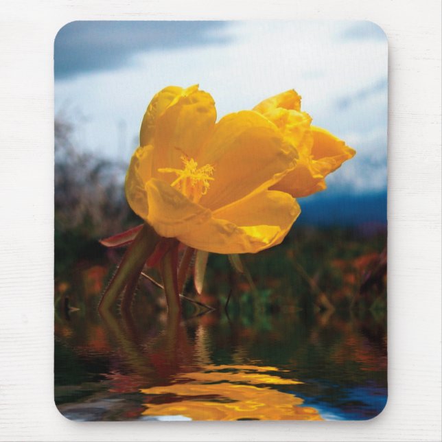 Blume Mousepad (Vorne)