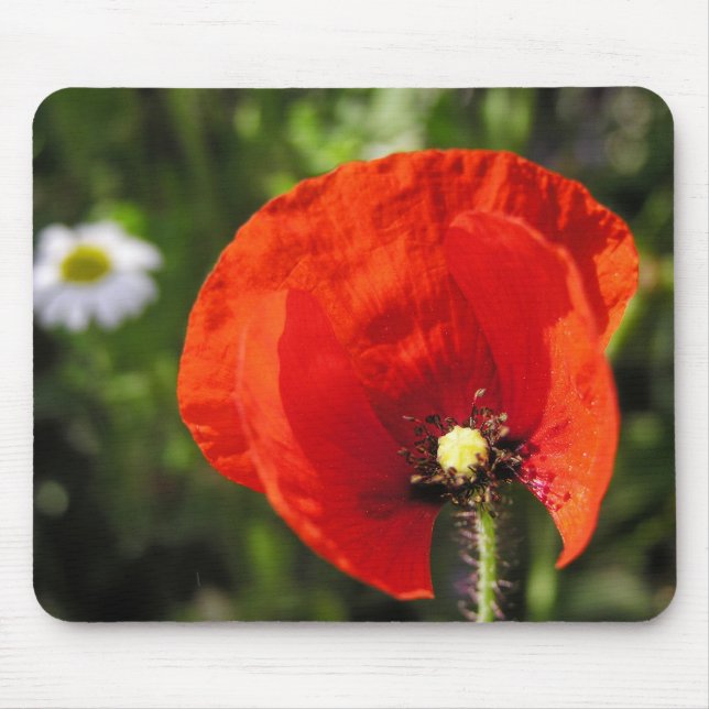 Blume Mousepad (Vorne)