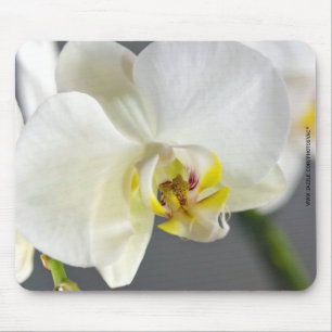 Blume Mousepad