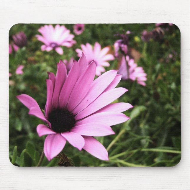 Blume Mousepad (Vorne)