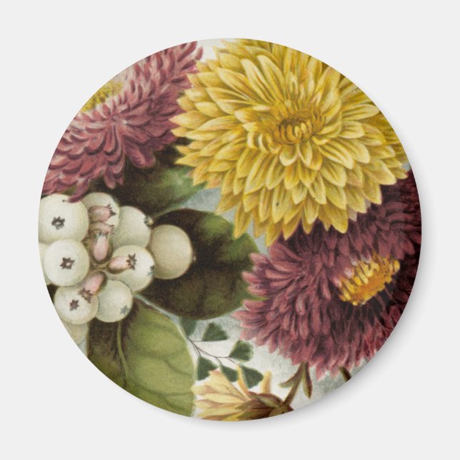 Blume Mum Floral Magnet (Vorne)