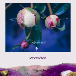 Blume nach Regen Poster