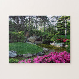 Blume Nationalpark Landschaftliches Wasser