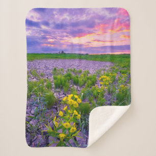 Blume   North Dakota Red River Valley Sherpadecke