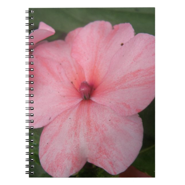 Blume Notebook mit hellrosa Impatiens Notizblock (Vorderseite)