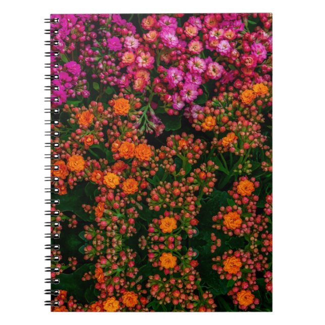 Blume-Notebook Notizblock (Vorderseite)