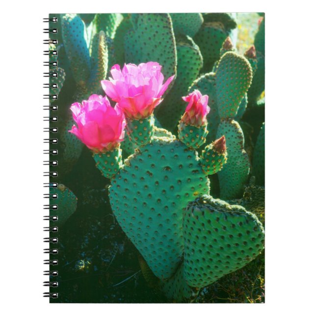 Blume Notizblock (Vorderseite)