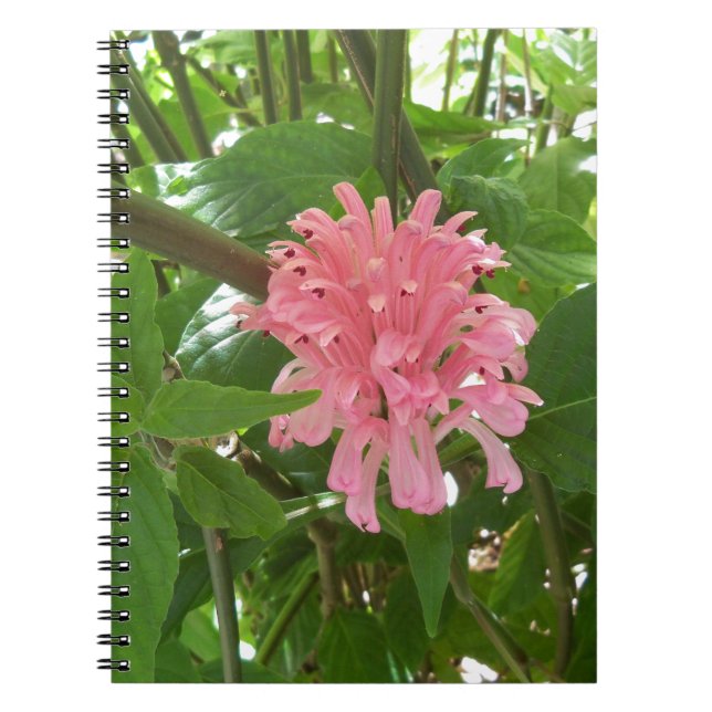 Blume Notizblock (Vorderseite)