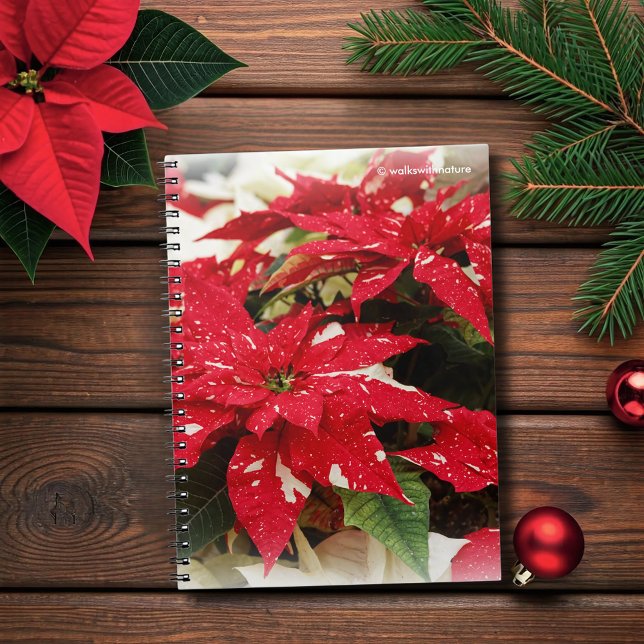 Blume Notizblock (Festive Red and Cream Poinsettias Flowers Journal Cover Photo)