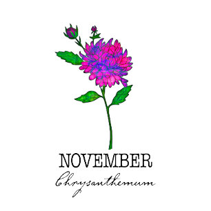 Blume November Chrysanthemum T-Shirt