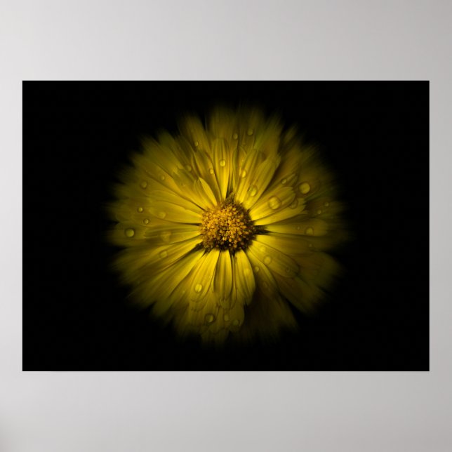 Blume Nr. 10: Farbflussversion Poster (Vorne)