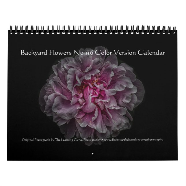 Blume Nr. 116 - Kalender für die Farbversion (Titelbild)