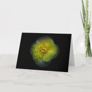 Blume Nr. 134, Farbversion Karte