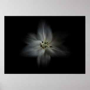 Blume Nr. 28 Farbflussversion im Hintergrund Poster