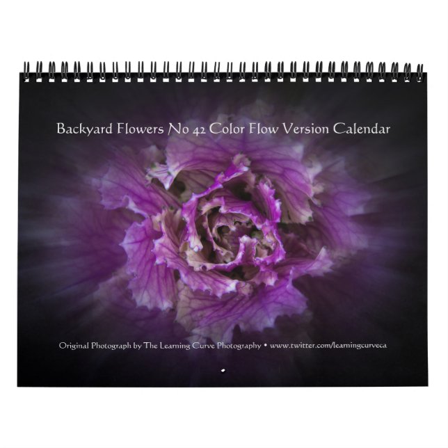 Blume Nr. 42 Farbflussversion im Hintergrund Kalender (Titelbild)