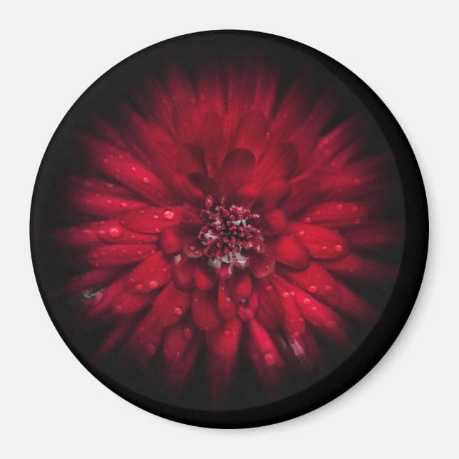 Blume Nr. 45 Farbflussversion Magnet (Vorne)
