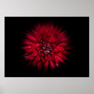 Blume Nr. 45 Farbflussversion Poster