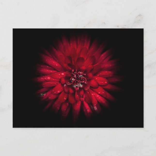 Blume Nr. 45 Farbflussversion Postkarte (Vorderseite)