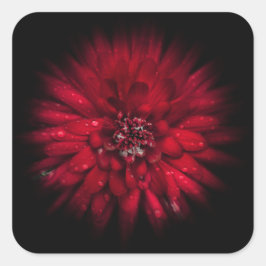 Blume Nr. 45 Farbflussversion Quadratischer Aufkleber