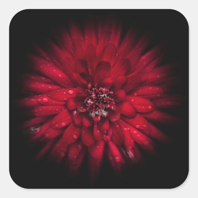 Blume Nr. 45 Farbflussversion Quadratischer Aufkleber (Vorderseite)