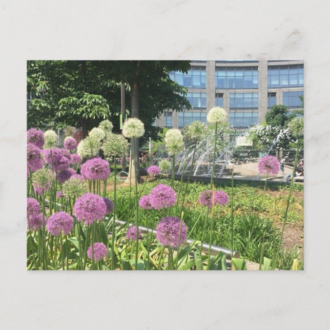 Blume NYC Columbus Circle Fountain Postkarte (Vorderseite)