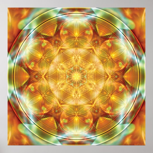 Blume of Life Mandala 16 Poster (Vorne)