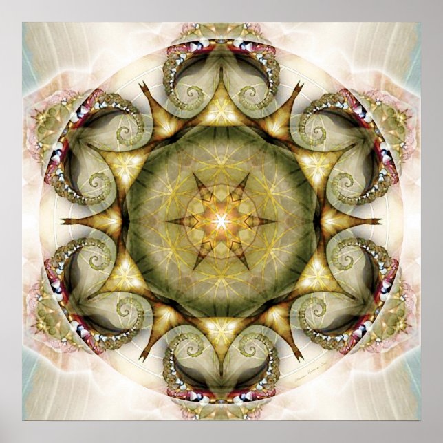 Blume of Life Mandala 19 Poster (Vorne)