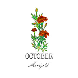 Blume Oktober Marigold Kissen