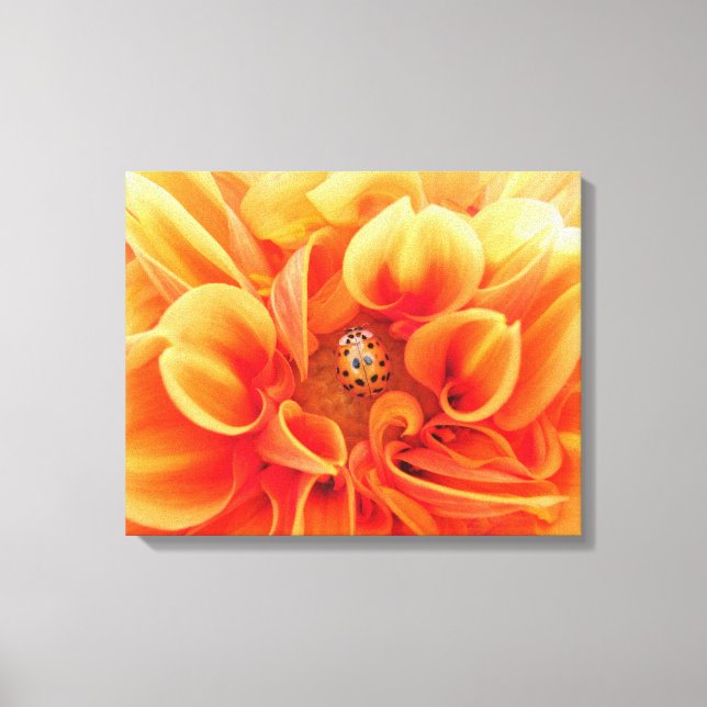 Blume Orange Dahlia mit Lady Bug Leinwanddruck (Vorderseite)
