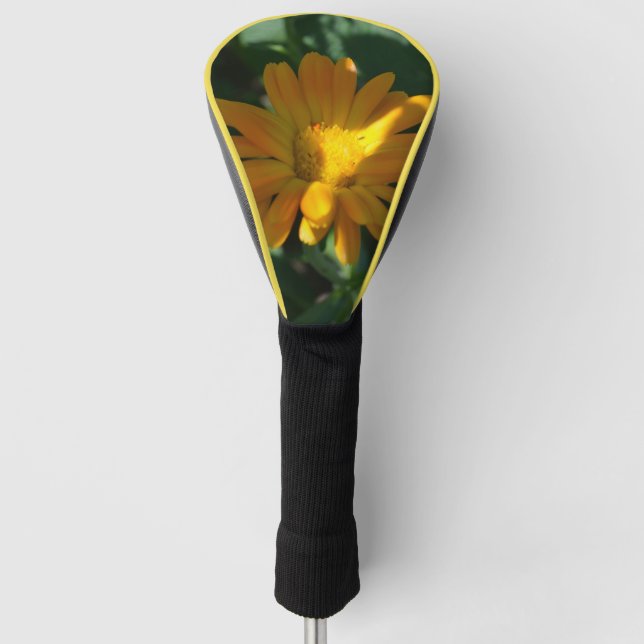 Blume Orange Pot Marigold (Calendula officinalis) Golf Headcover (Vorderseite)