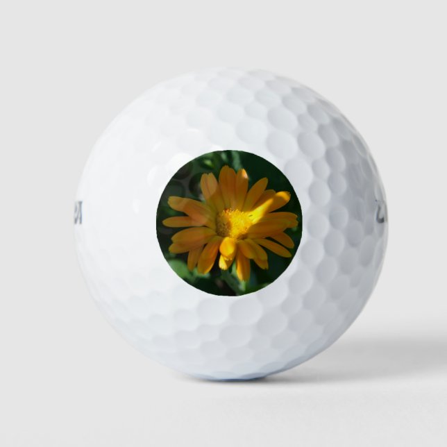 Blume Orange Pot Marigold (Calendula officinalis) Golfball (Vorderseite)