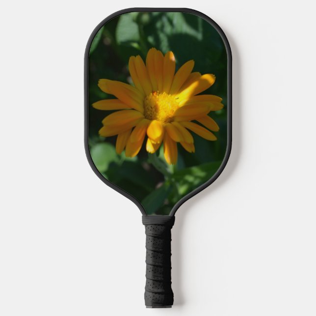 Blume Orange Pot Marigold (Calendula officinalis) Pickleball Schläger (Vorderseite)