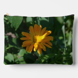 Blume Orange Pot Marigold (Calendula officinalis) Zubehörtasche