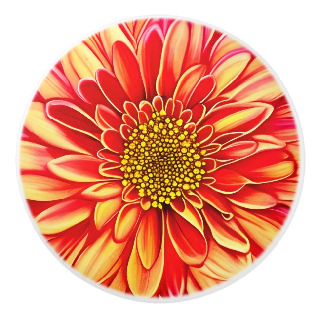 Blume Orange und Golden Yellow Aster Keramikknauf (Vorderseite)