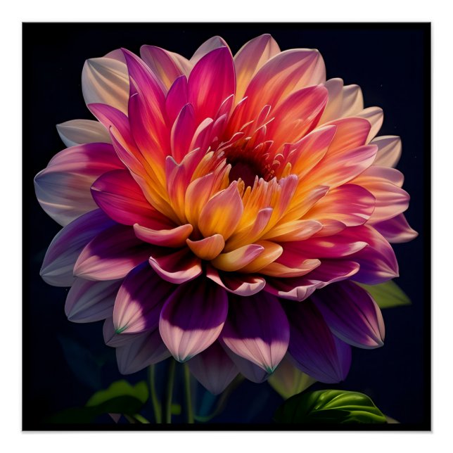 Blume Orange und Pink Dahlia Poster (Vorderseite)