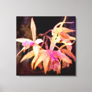 Blume - Orchid - Laelia - Mitternachtsleidenschaft Leinwanddruck