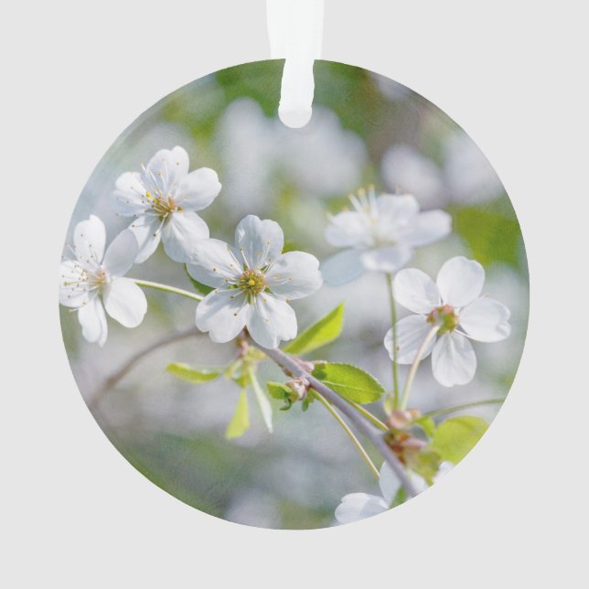 Blume Ornament (Rückseite)