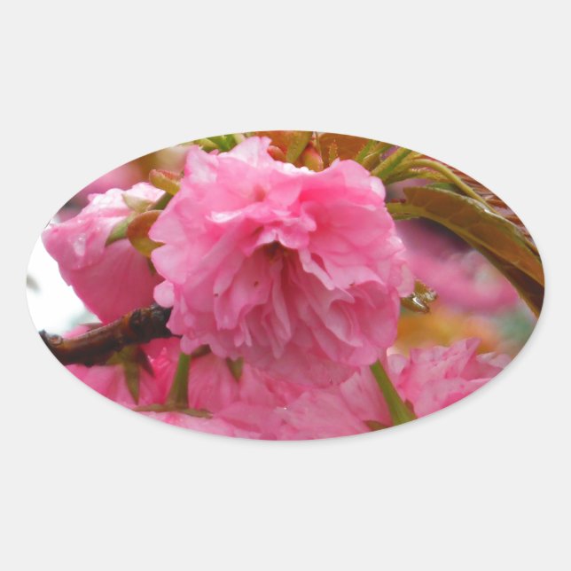 Blume Ovaler Aufkleber (Vorderseite)