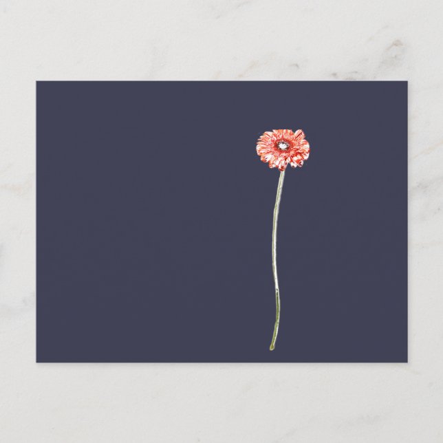 Blume Pale Red Gerbera Postkarte (Vorderseite)
