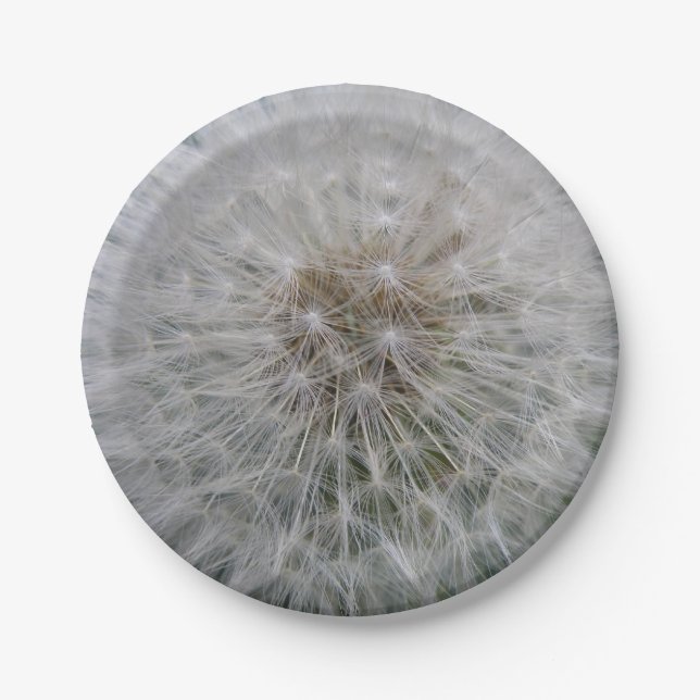 Blume-Papierplatte für Kronleuchter Pappteller (Vorderseite)