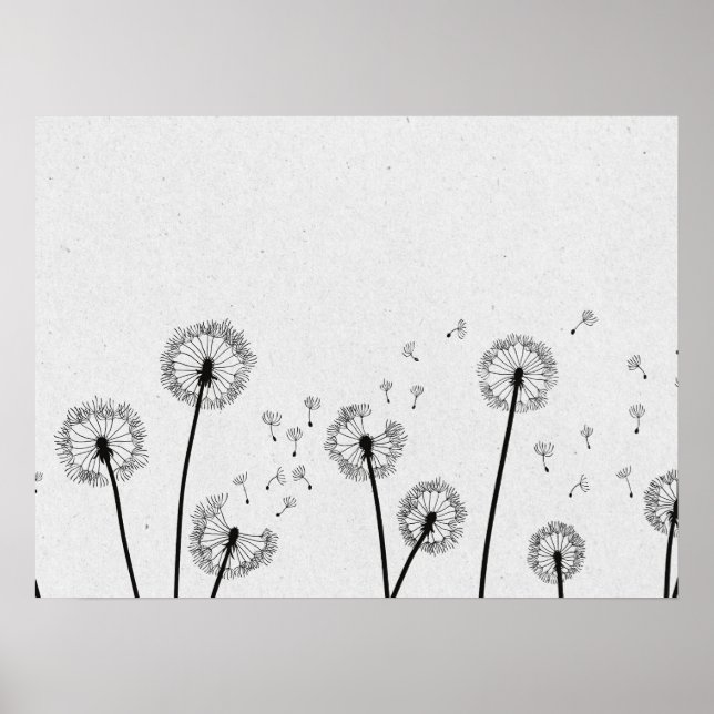 Blume Pappus Spores Grau Poster (Vorne)