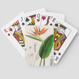 Blume Paradiesvogel vintage illustriert Spielkarten