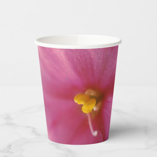 Blume Pastel Pink African Violet (Saintpaulia) Pappbecher (Links)