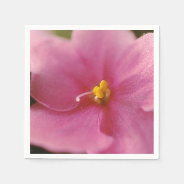 Blume Pastel Pink African Violet (Saintpaulia) Serviette (Vorderseite)