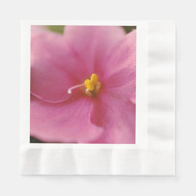 Blume Pastel Pink African Violet (Saintpaulia) Serviette (Vorderseite)