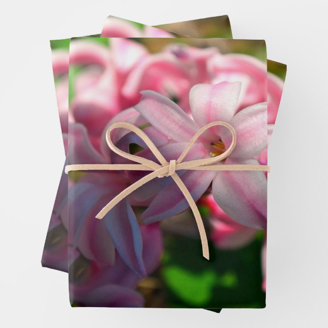 Blume Pastel Pink Hyacinth (Hyacinthus) Geschenkpapier Set (Beispiel)